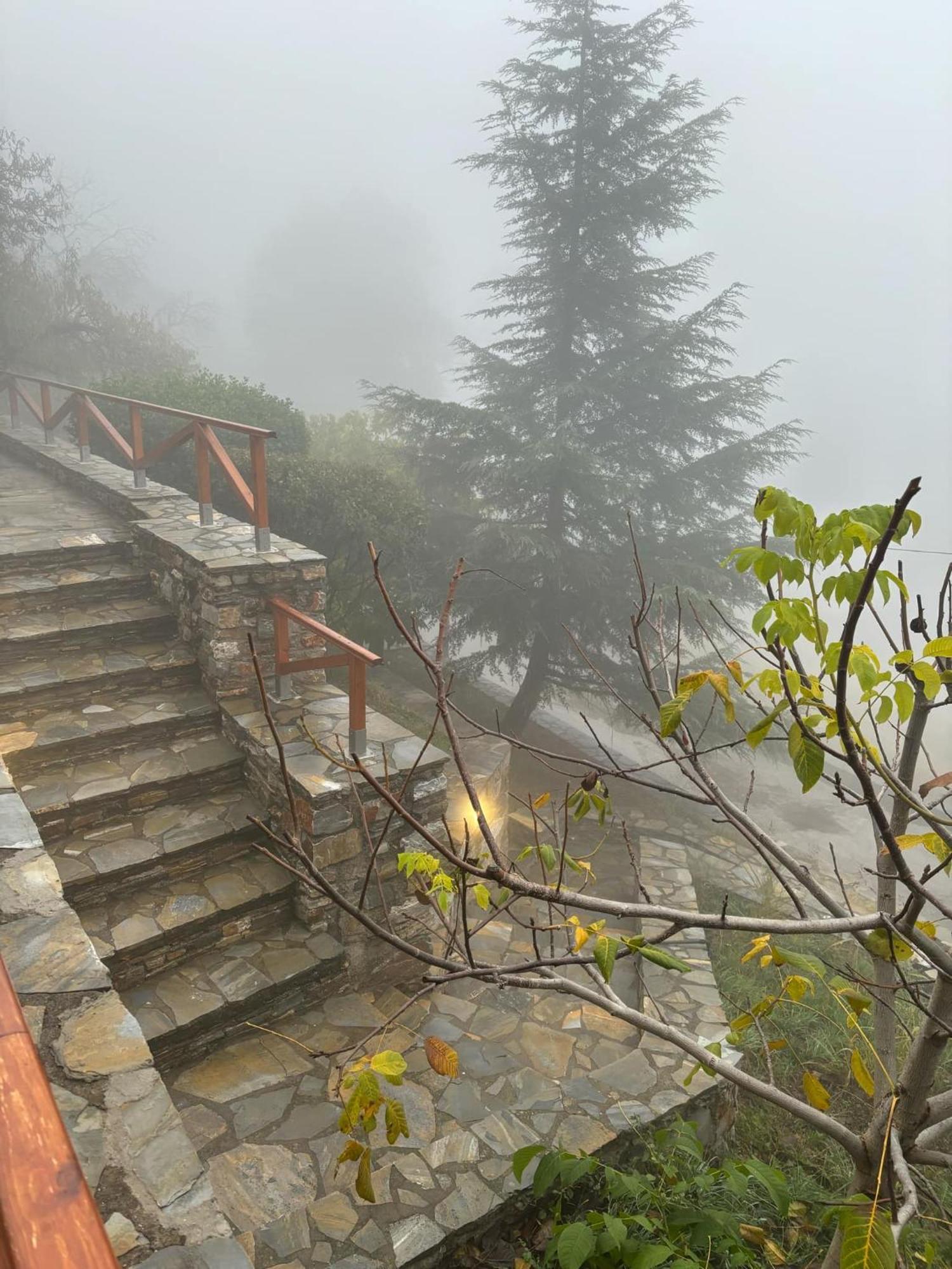 οξυγόνο πέτρινο εξοχικό στη πηλίου * Vizitsa